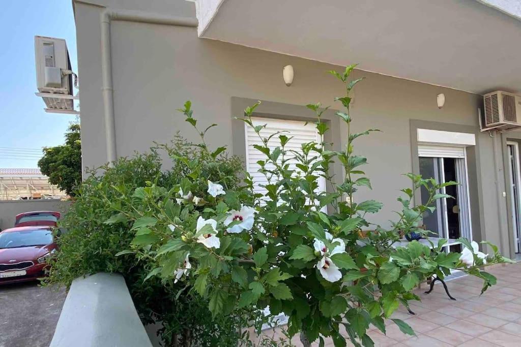 Ilisia Neapoli Apartments 1 Neápolis Εξωτερικό φωτογραφία